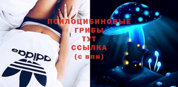 а пвп мука Баксан