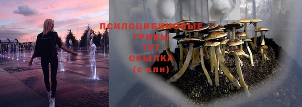 а пвп мука Баксан