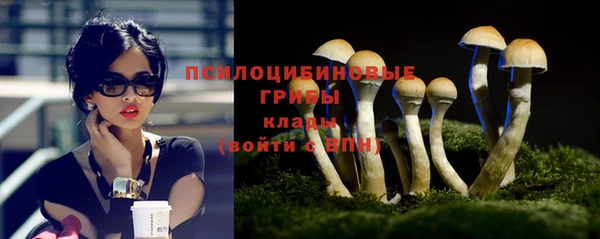 молекула духа Балахна