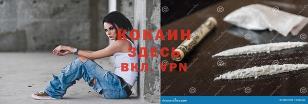молекула духа Балахна